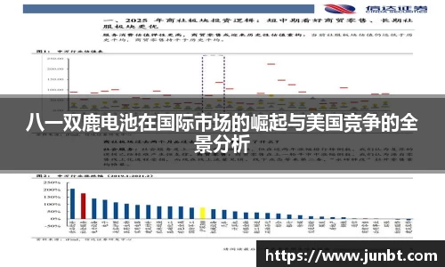 八一双鹿电池在国际市场的崛起与美国竞争的全景分析
